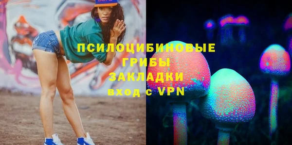 apvp Абаза